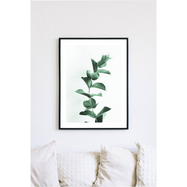 Posterworld - Motiv Eucalyptus - 70x100 cm Posterworld - Motiv Eucalyptus - 70x100 cm