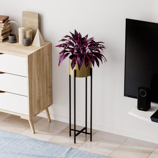 Plato 25 kruka - Svart/guld Plato 25 kruka - Svart/guld