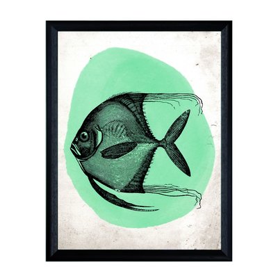 Tavla grn fisk - Svart ram