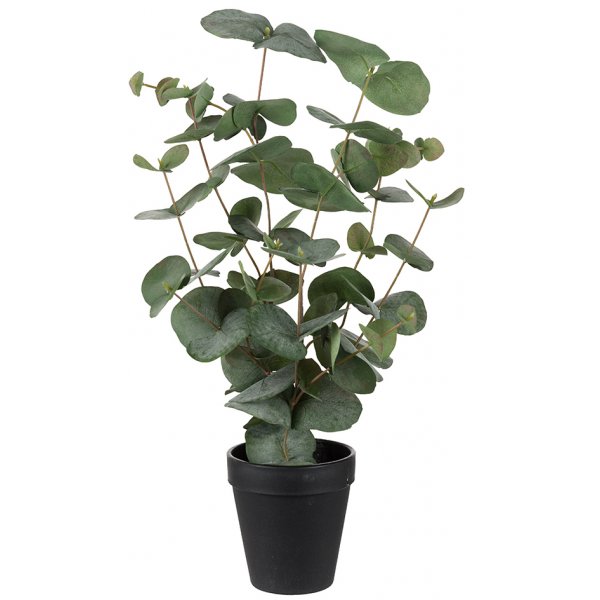 Plante artificielle d\\\'eucalyptus